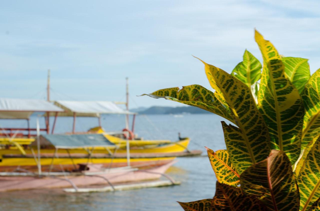 Concepcion Divers Lodge Busuanga Exterior photo